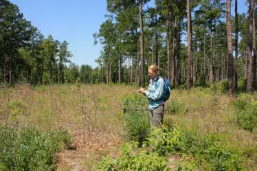 scientist in field with trees