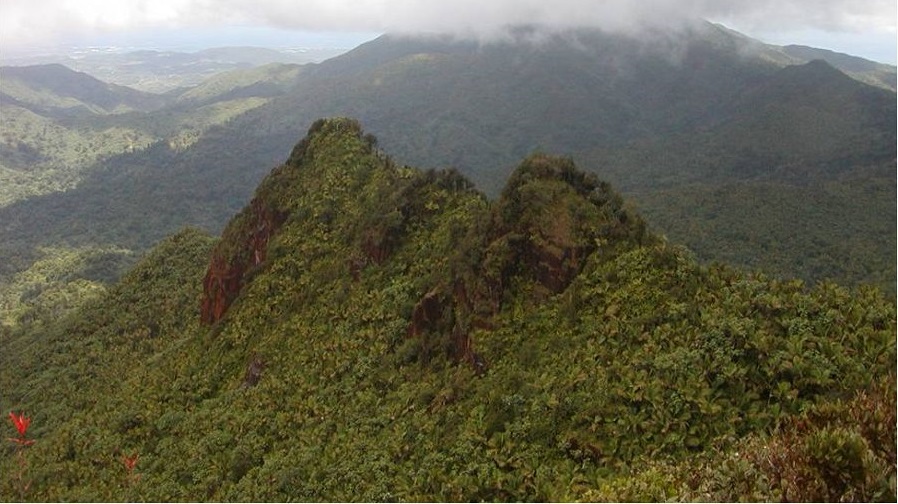 Luquillo Experimental Forest