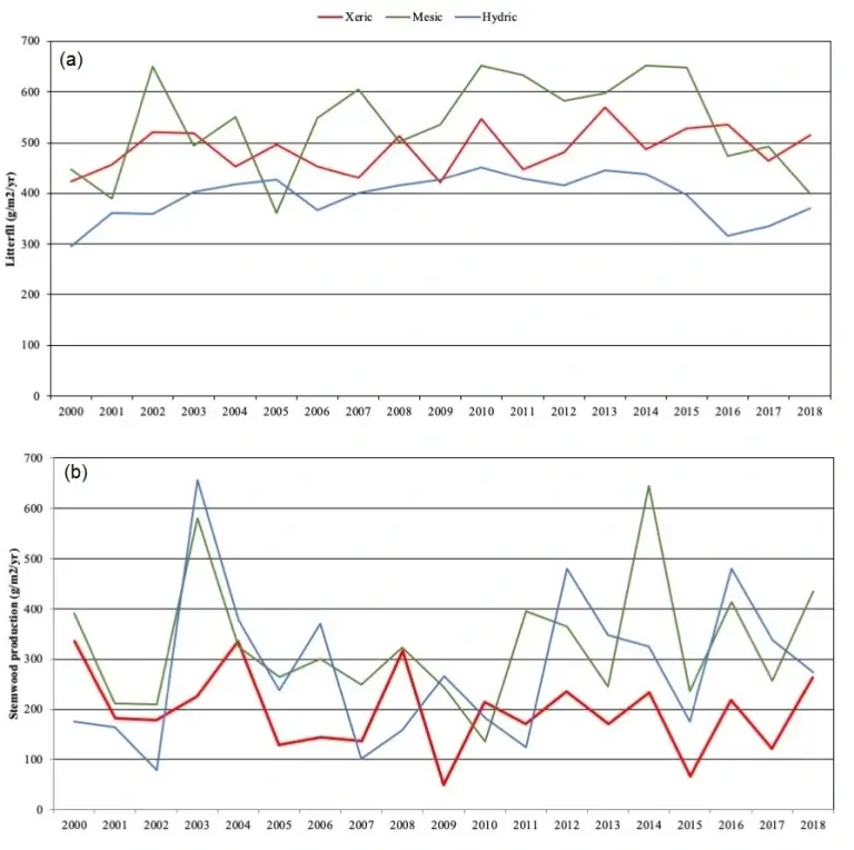 stemwood production and litterfall time series