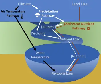 water pathways diagram