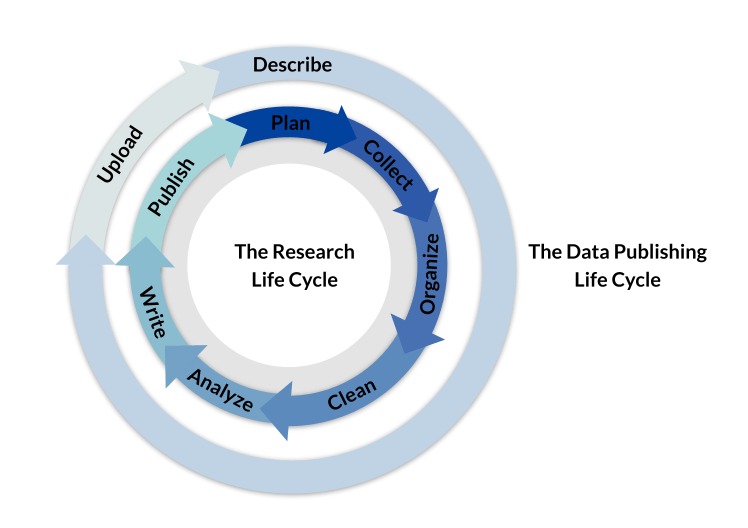 Creating Metadata